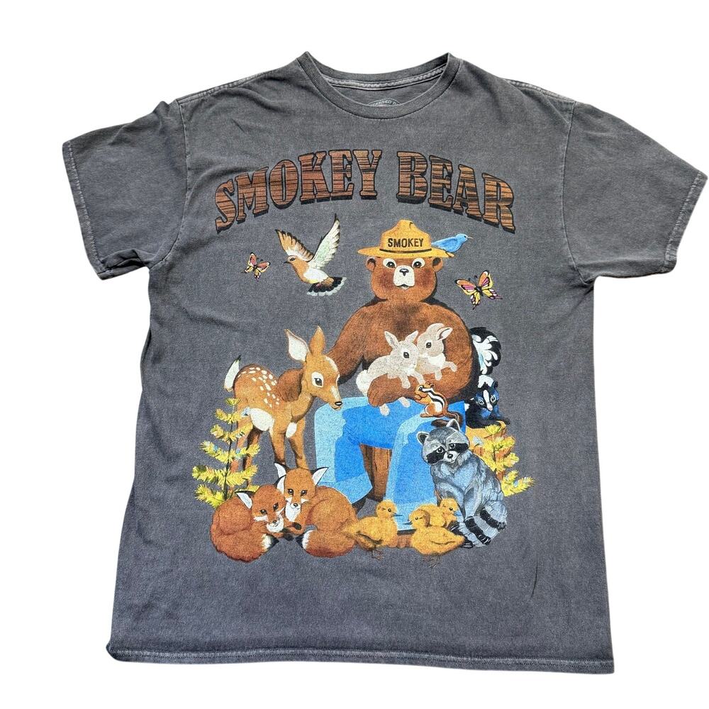 Smokey Bear Official Licensed Graphic T Shirt Men's Medium Gray 100% Cotton - Picture 7 of 9